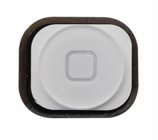iPhone 5 homebutton